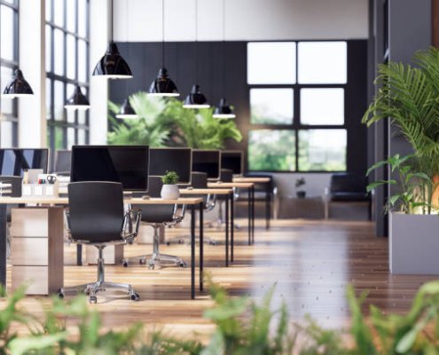 Sunmaxx - Commercial Interior (30)